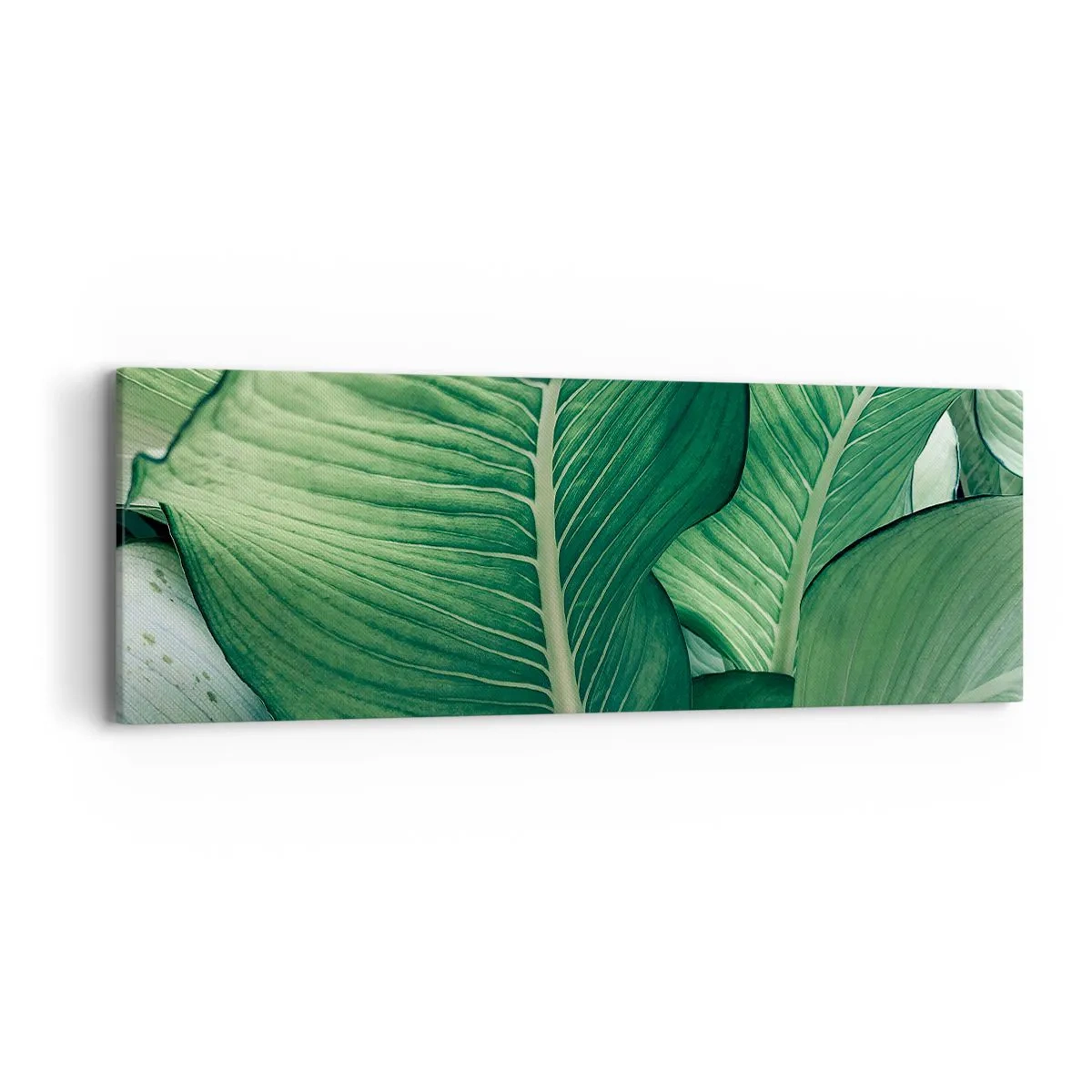 Canvastavla - Bild på duk - Livet intensivt grönt - 90x30 cm