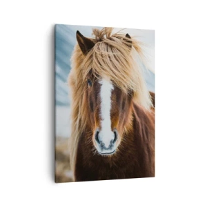 Canvastavla - Bild på duk - Känner du friheten? - 50x70 cm