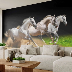 Självhäftande Fototapet Deluxe Sticker - De tre gracerna - Hästar, Djur, Galopp - 100x70 cm