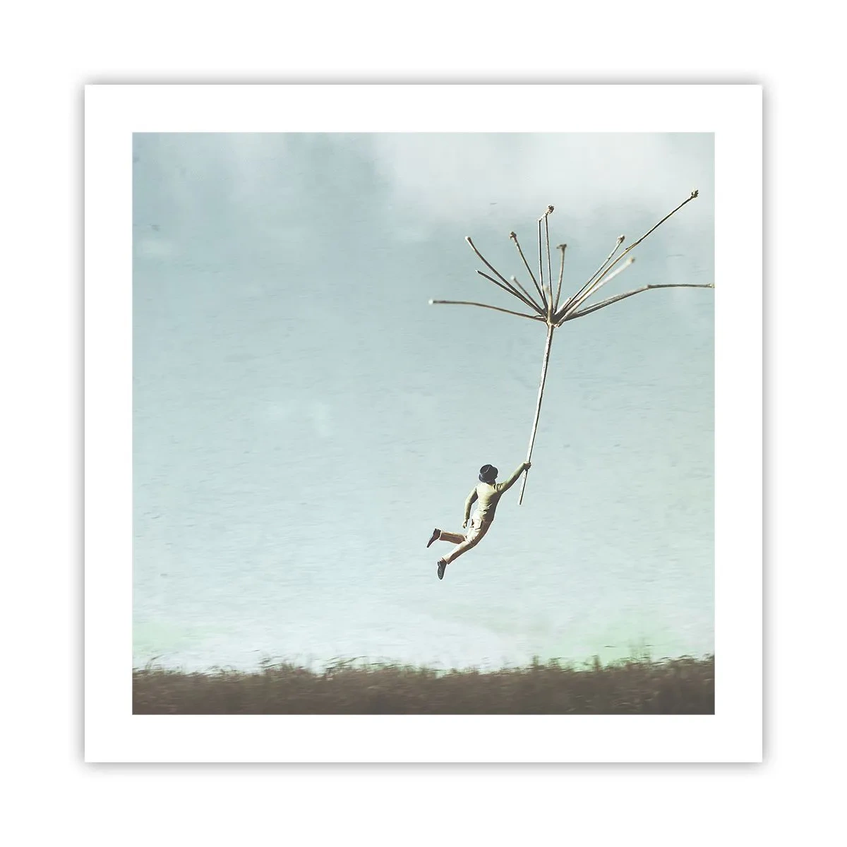 Affisch - Drakar, maskrosor, vind - 50x50 cm