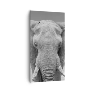 Canvastavla - Bild på duk - Välkommen till min värld - 65x120 cm