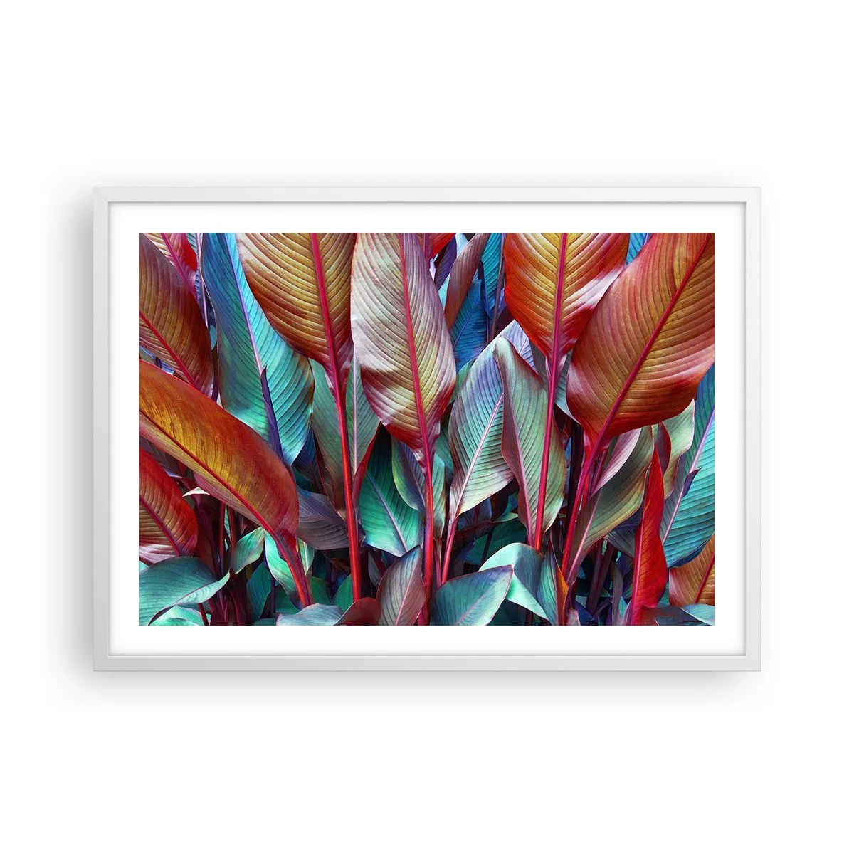Affisch i vit ram - En färgglad tätskog - 70x50 cm