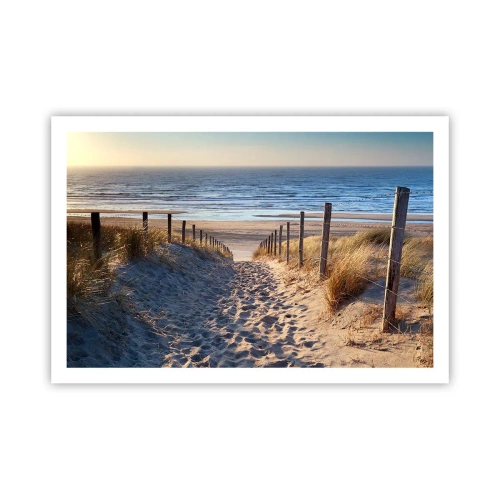 Affisch - Havets brus, fågelsång, tom strand bland träden - 91x61 cm