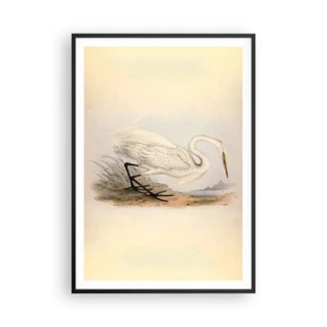 Affisch i svart ram - En dam i vassen - 70x100 cm