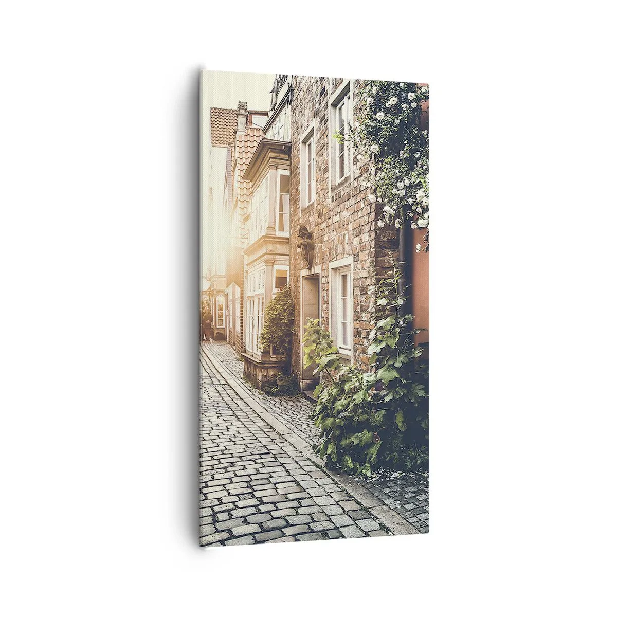 Canvastavla - Bild på duk - Rosgränd i rosa sken - 65x120 cm