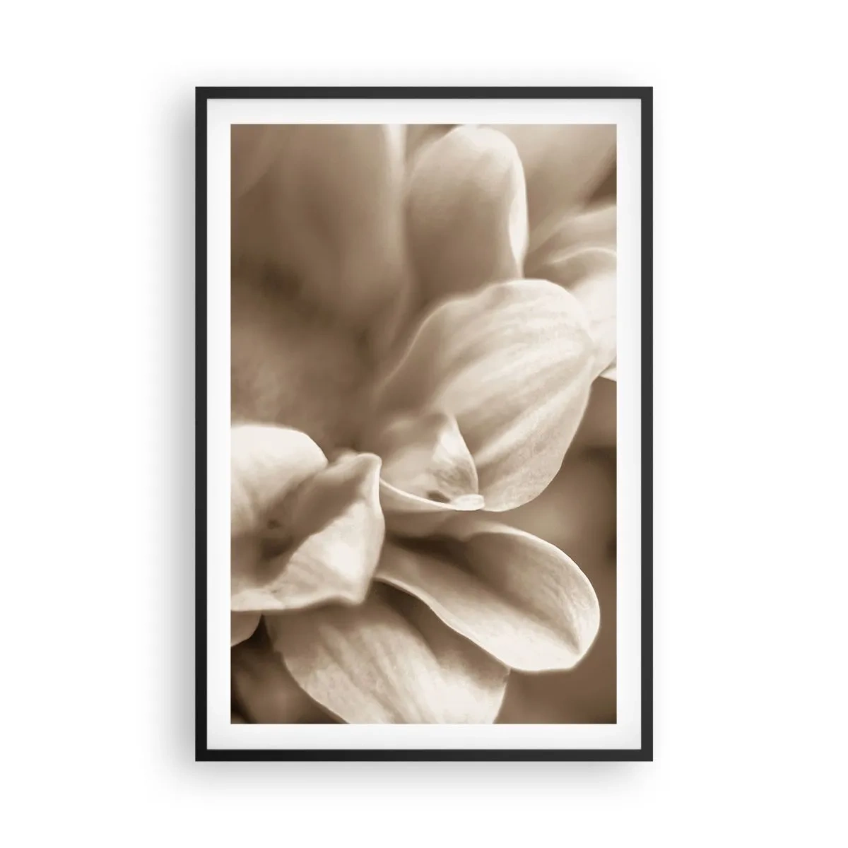 Affisch i svart ram - Milda som ett leende - 61x91 cm