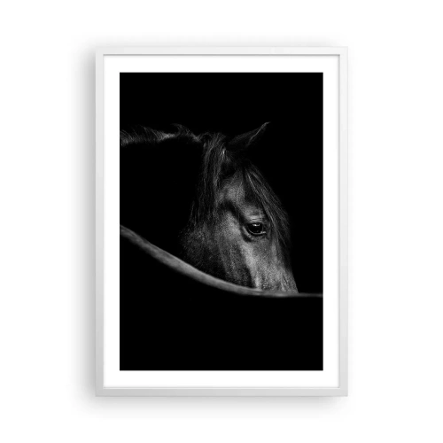 Affisch i vit ram - Svart prins - 50x70 cm