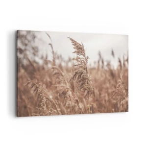 Canvastavla - Bild på duk - Hösten är framme på åkrarna - 120x80 cm