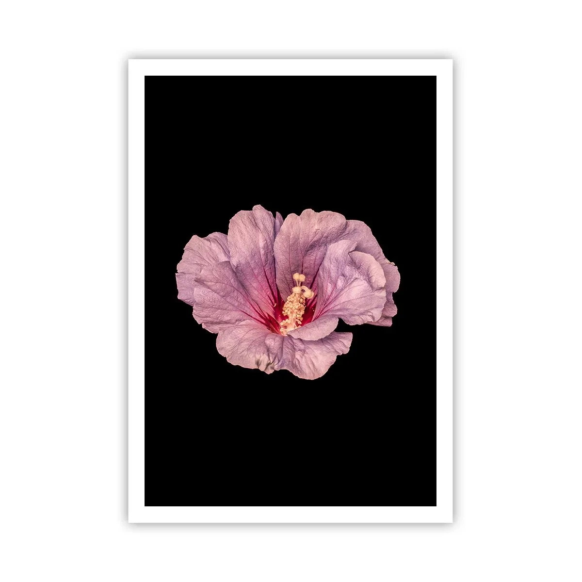 Affisch - Rakt till hjärtat - 70x100 cm