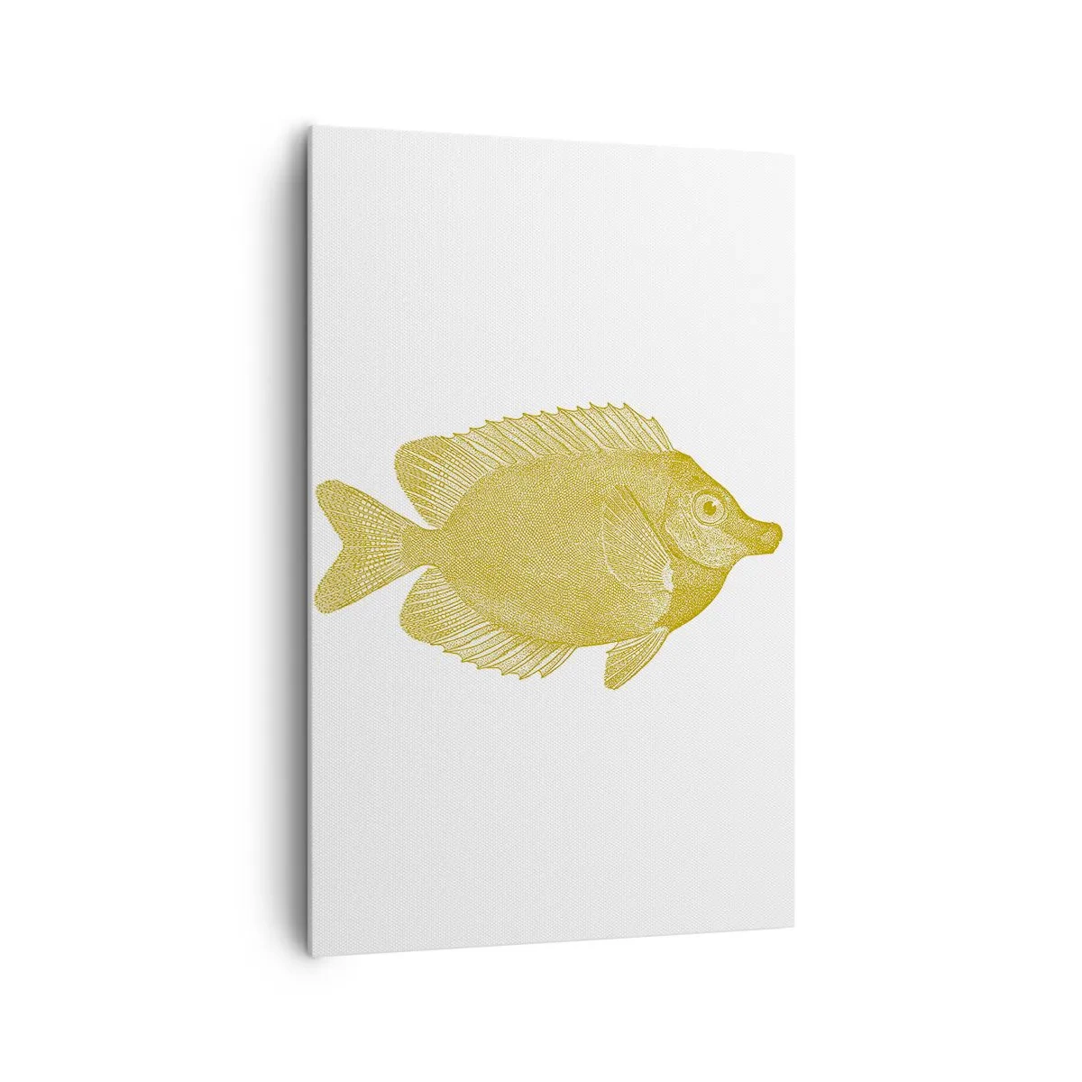 Canvastavla - Bild på duk - Fisk och det är allt - 80x120 cm