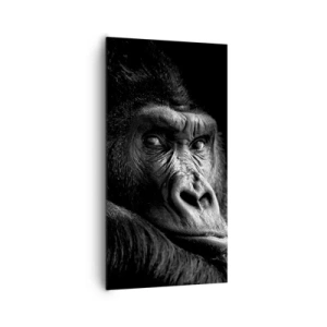 Canvastavla - Bild på duk - Varför glor du? - 65x120 cm