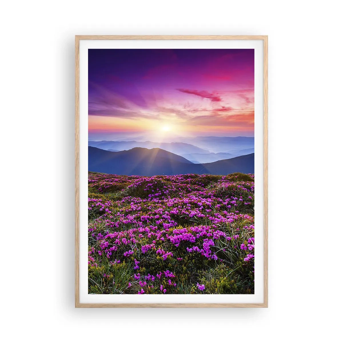 Affisch i ram av ljusek - Doftande örter - 70x100 cm