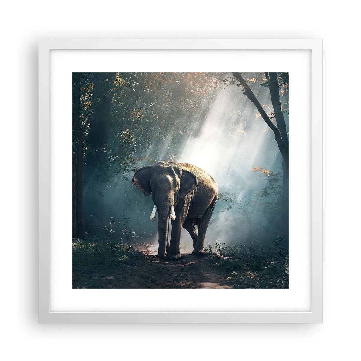 Affisch i vit ram - Lugn promenad - 40x40 cm