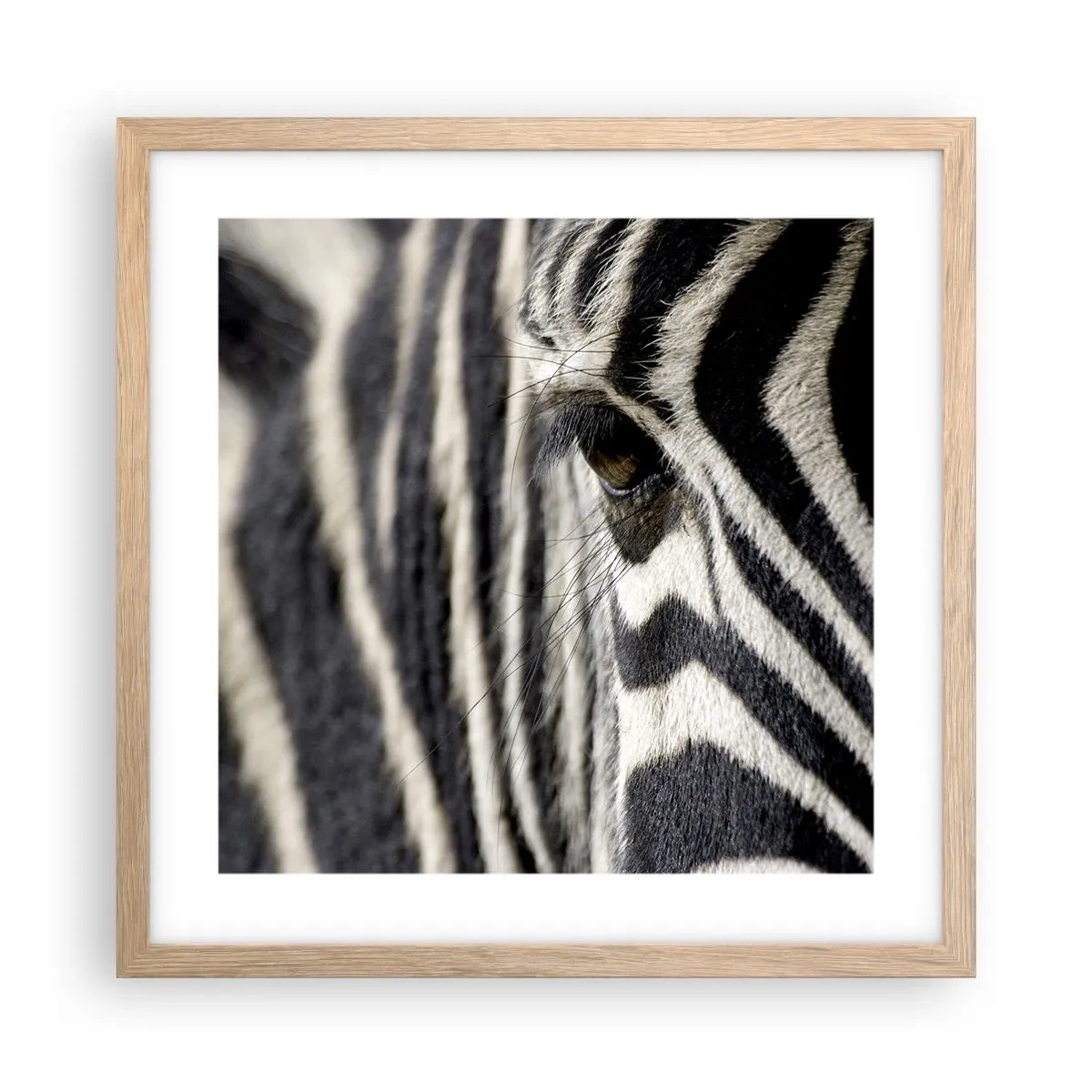 Affisch i ram av ljusek - Randig porträtt - 40x40 cm