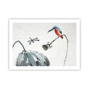 Affisch - Ängens liv - 70x50 cm