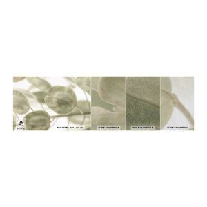 Provbit av fototapet Premium Sand - I början fanns det löv... - Blommor, Lugna, Löv - 100x30 cm