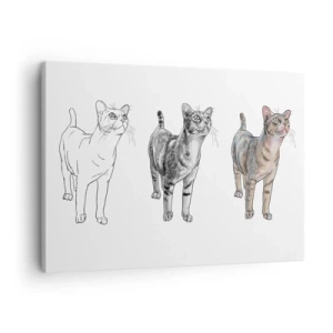 Canvastavla - Bild på duk - Utvecklingen av en kattteckning från skiss till färgad form - 70x50cm - Teckningslektion - Modern väggdekoration för vardagsrum och sovrum ARTTOR