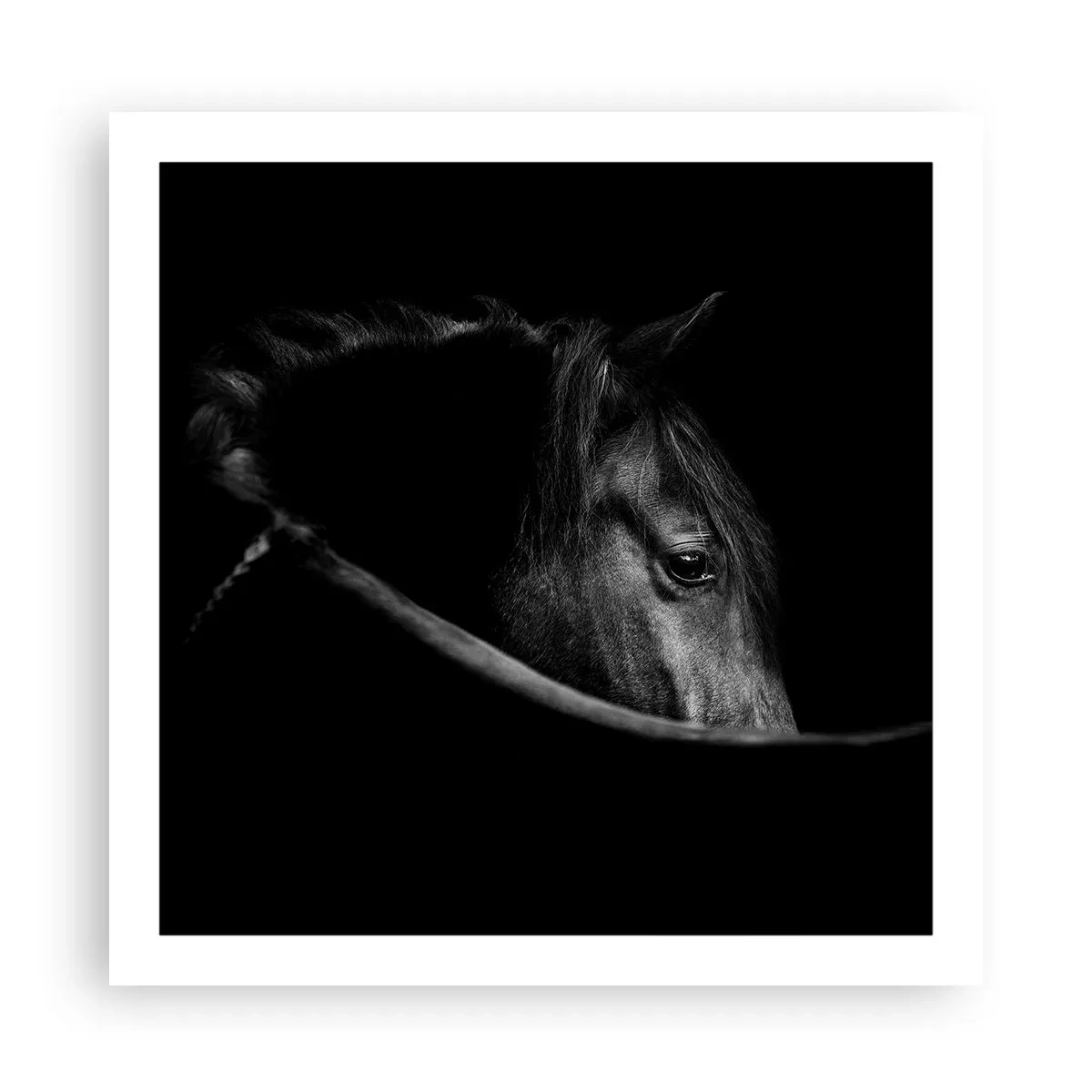 Affisch - Svart prins - 60x60 cm