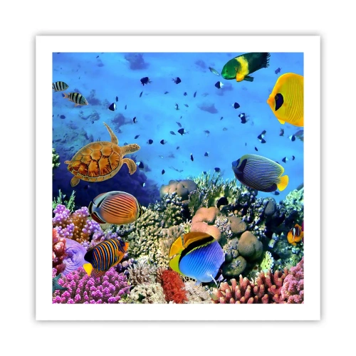 Affisch - Vad vet vi om livet... - 60x60 cm