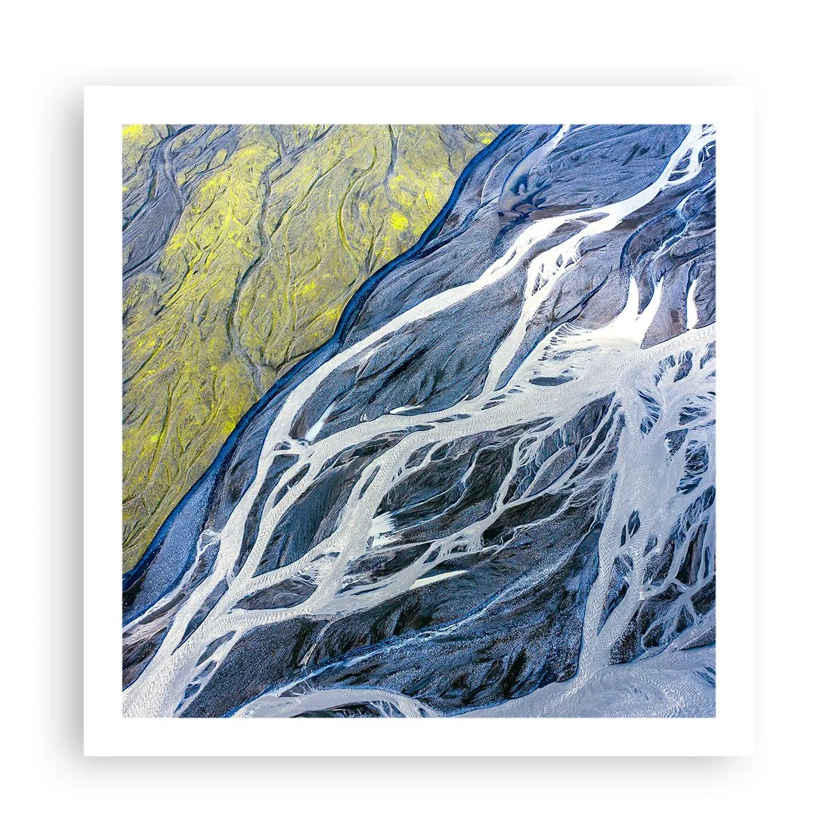 Affisch - Naturens grottmålningar - 60x60 cm
