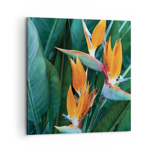 Canvastavla - Bild på duk - Är det en blomma, eller en fågel? - 60x60 cm