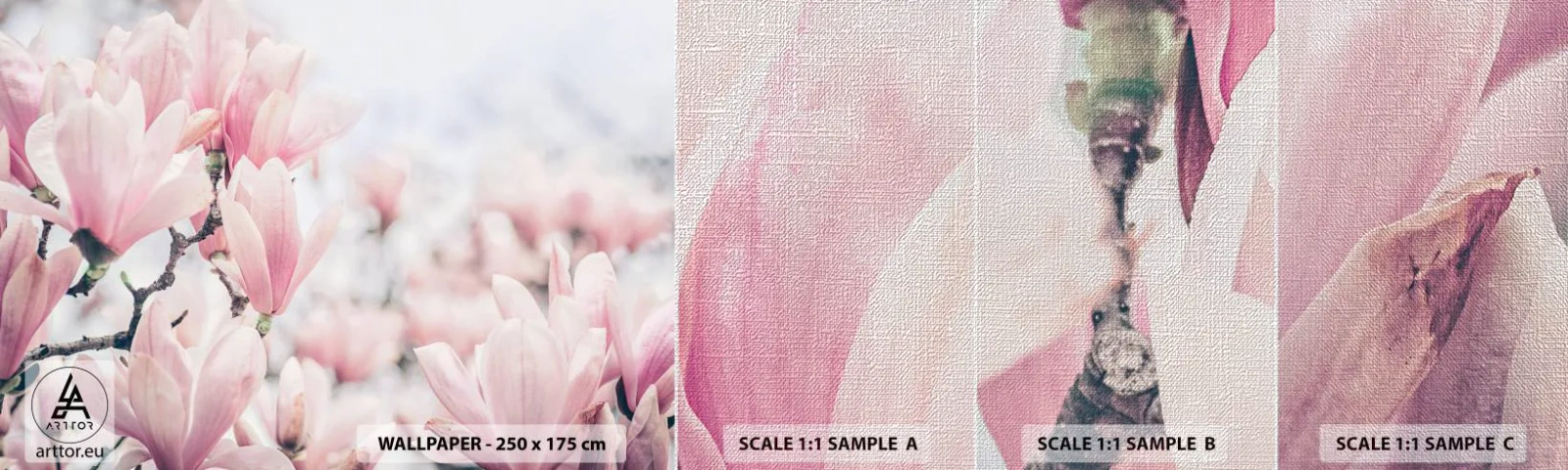 Provbit av fototapet Premium Canvas - Perfekt subtilitet - Magnolia, Blommor, Magnolia träd - 100x30 cm