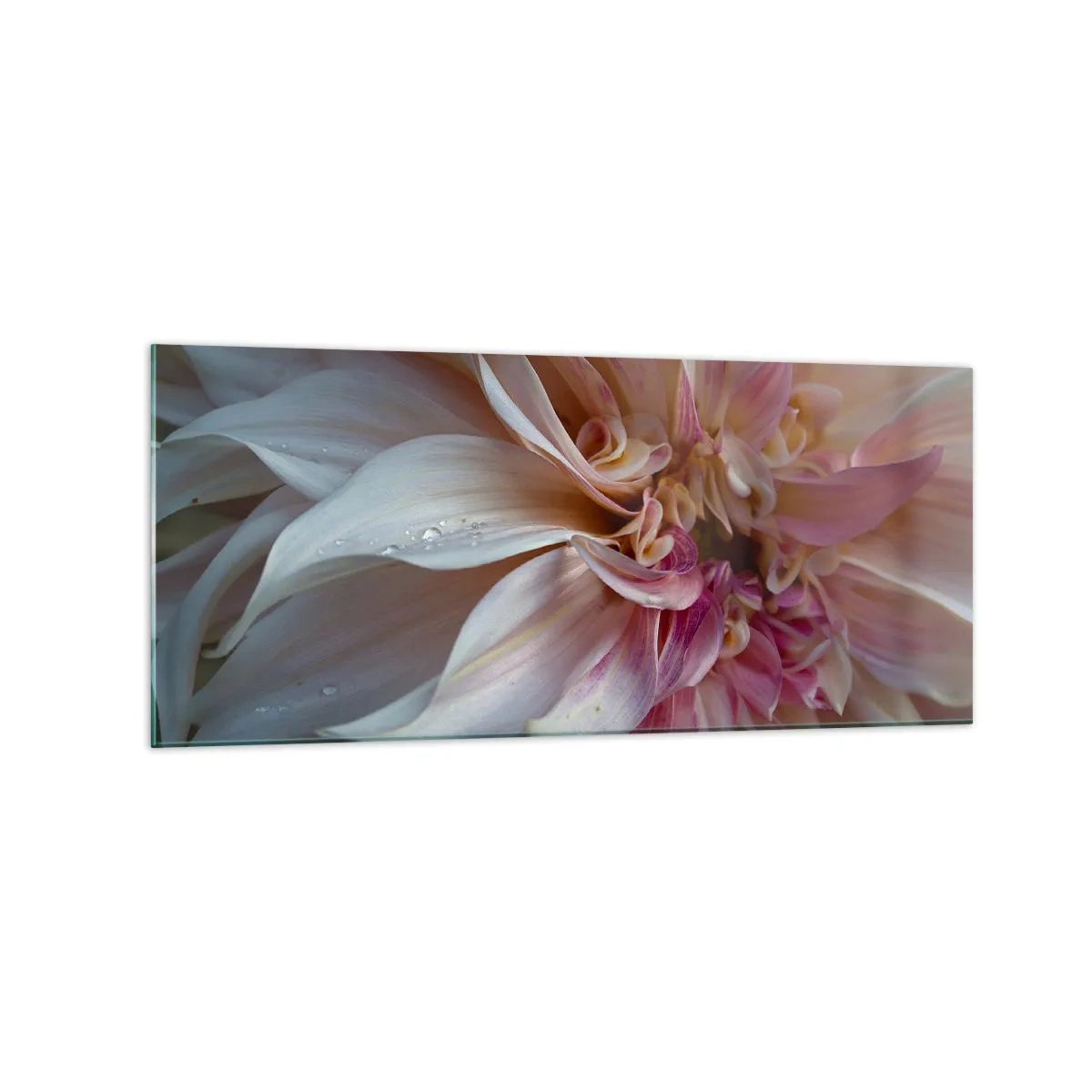 Glastavla - Bild på glas - Blommande friskhet - 120x50 cm