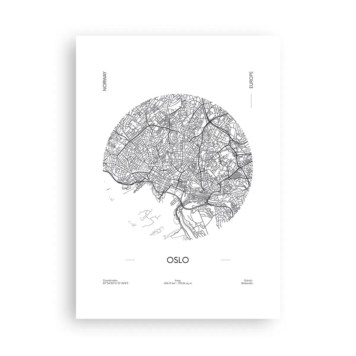 Affisch - Oslos anatomi - 50x70 cm