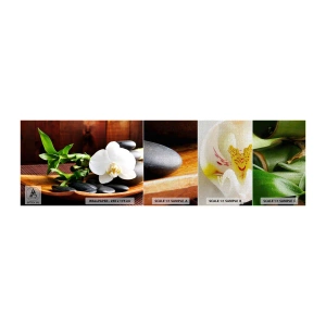 Provbit av fototapet Premium Canvas - Bli berörd av naturen - Blommor, Orkide, Orkide - 100x30 cm