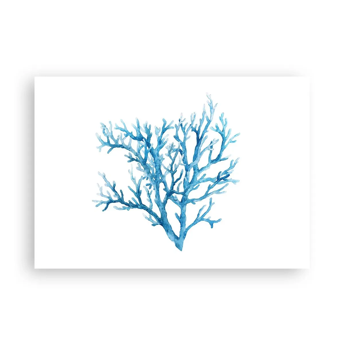 Affisch - Marin filigran - 100x70 cm