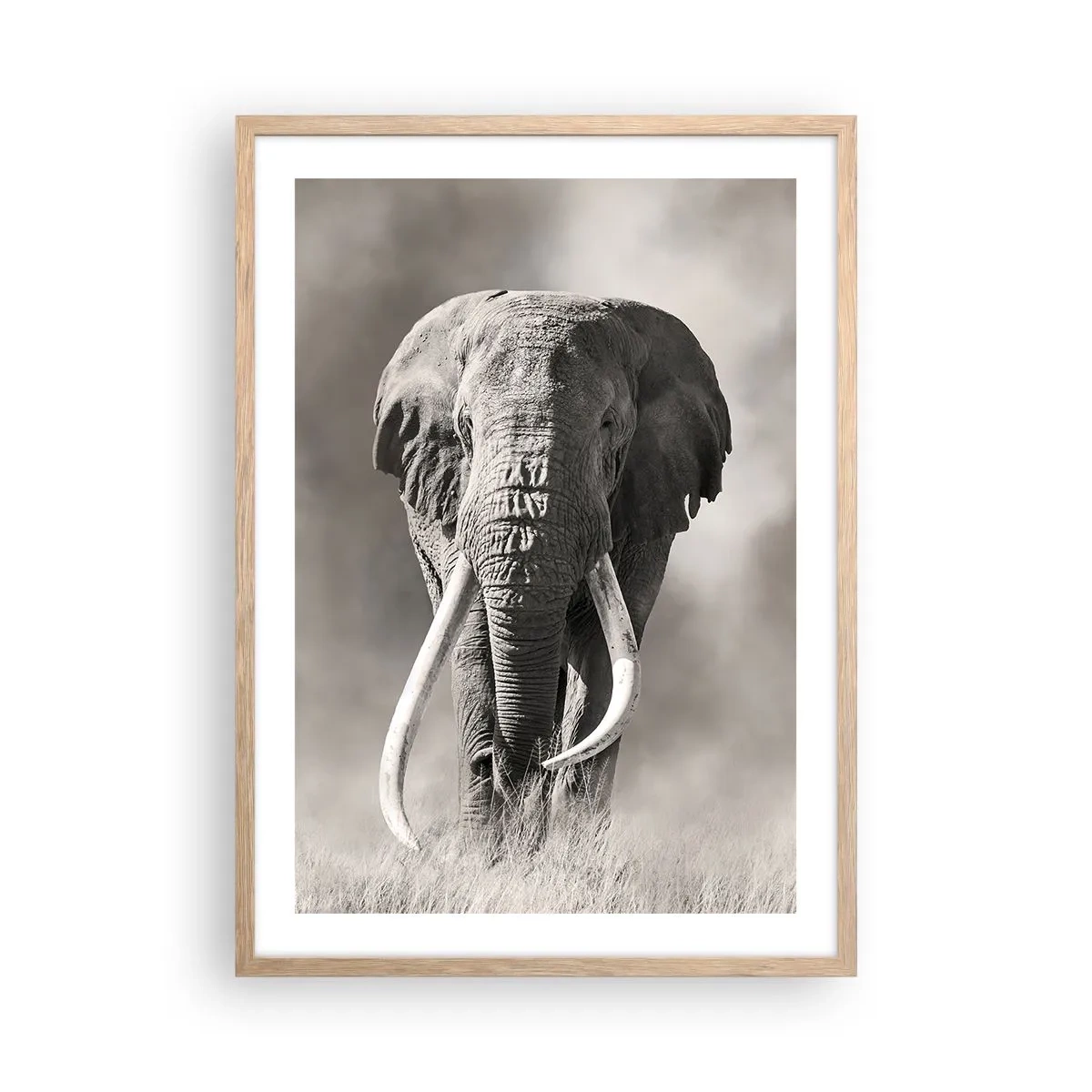 Affisch i ram av ljusek - Afrikansk patriark - 50x70 cm