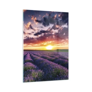 Glastavla - Bild på glas - Lavandelvärld - 50x70 cm