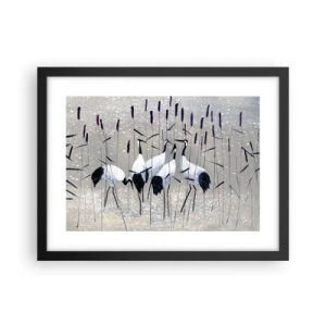 Affisch i svart ram - Bland sina - 40x30 cm