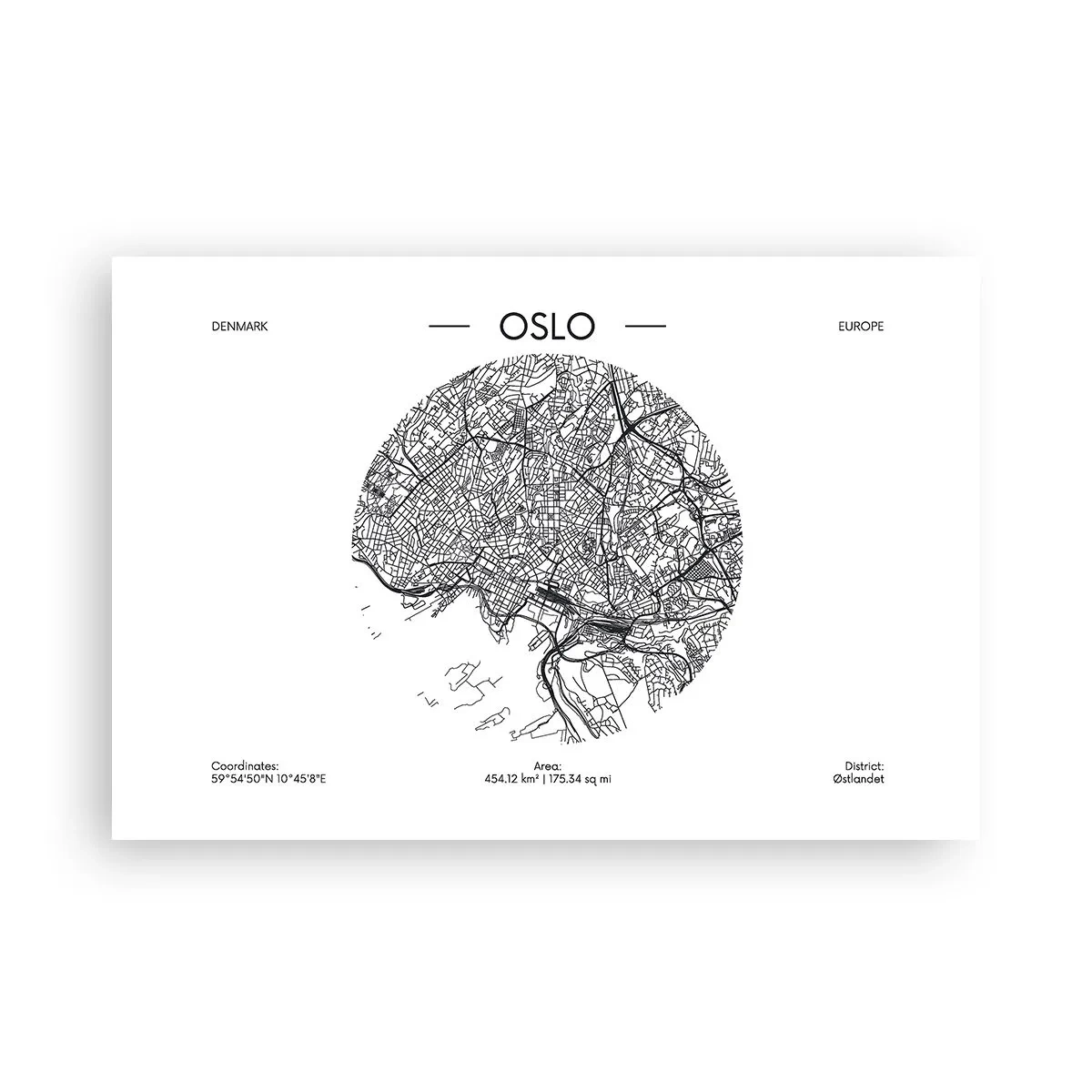 Affisch - Oslos anatomi - 91x61 cm