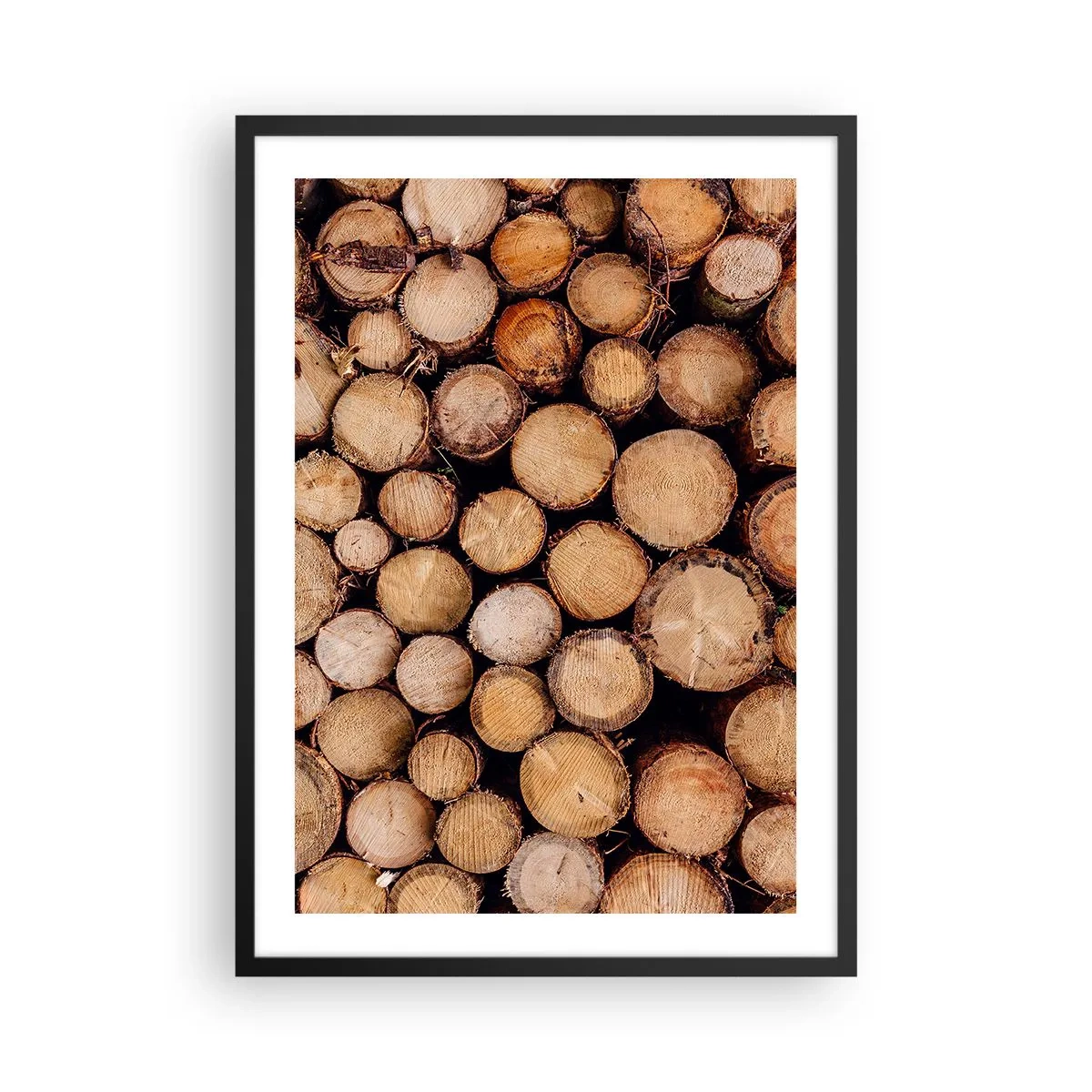 Affisch i svart ram - Naturskurna trädstammar i ett konstnärligt arrangemang - 50x70cm - Ny början - Modern väggdekoration för vardagsrum och sovrum ARTTOR