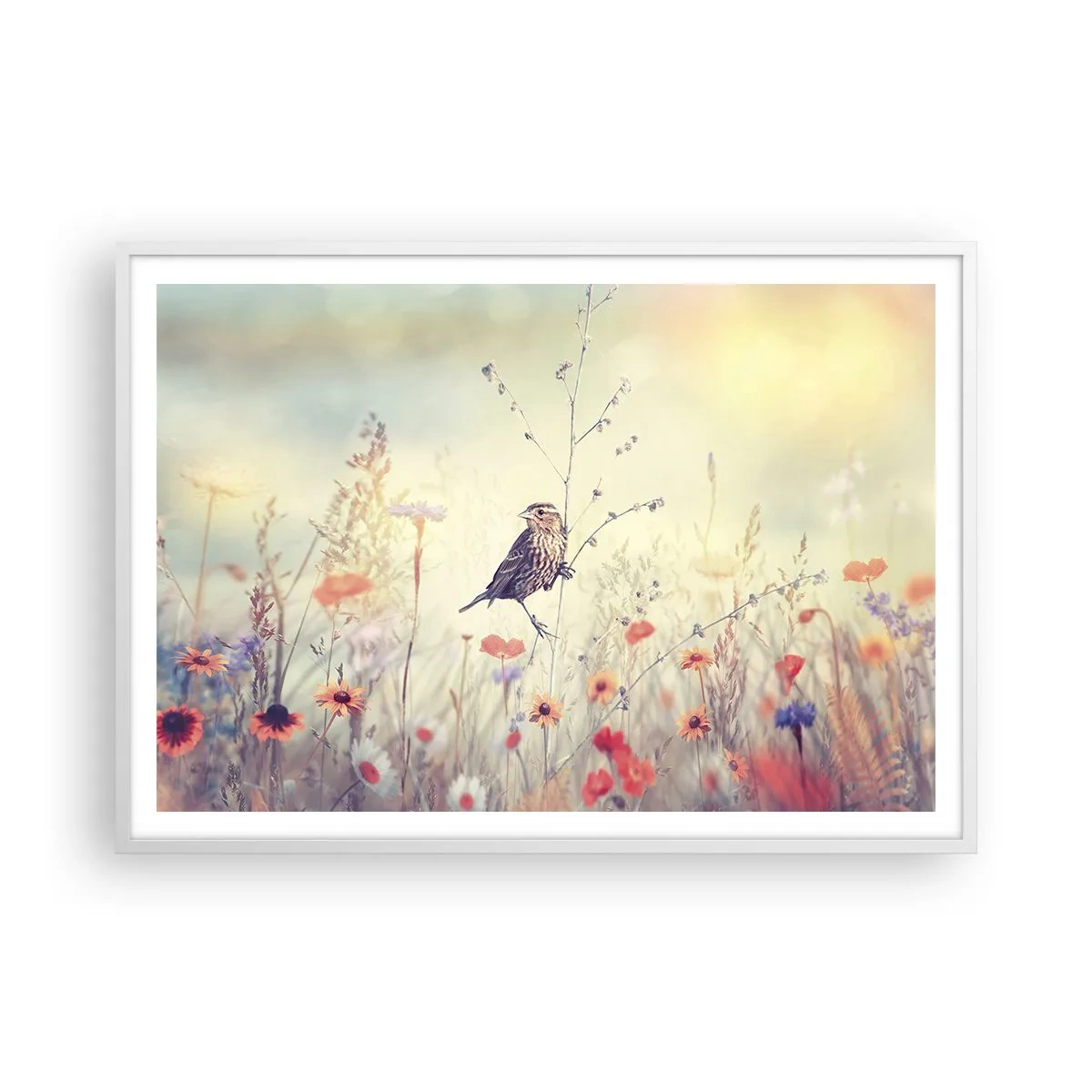 Affisch i vit ram - Fågelporträtt med en äng i bakgrunden - 100x70 cm
