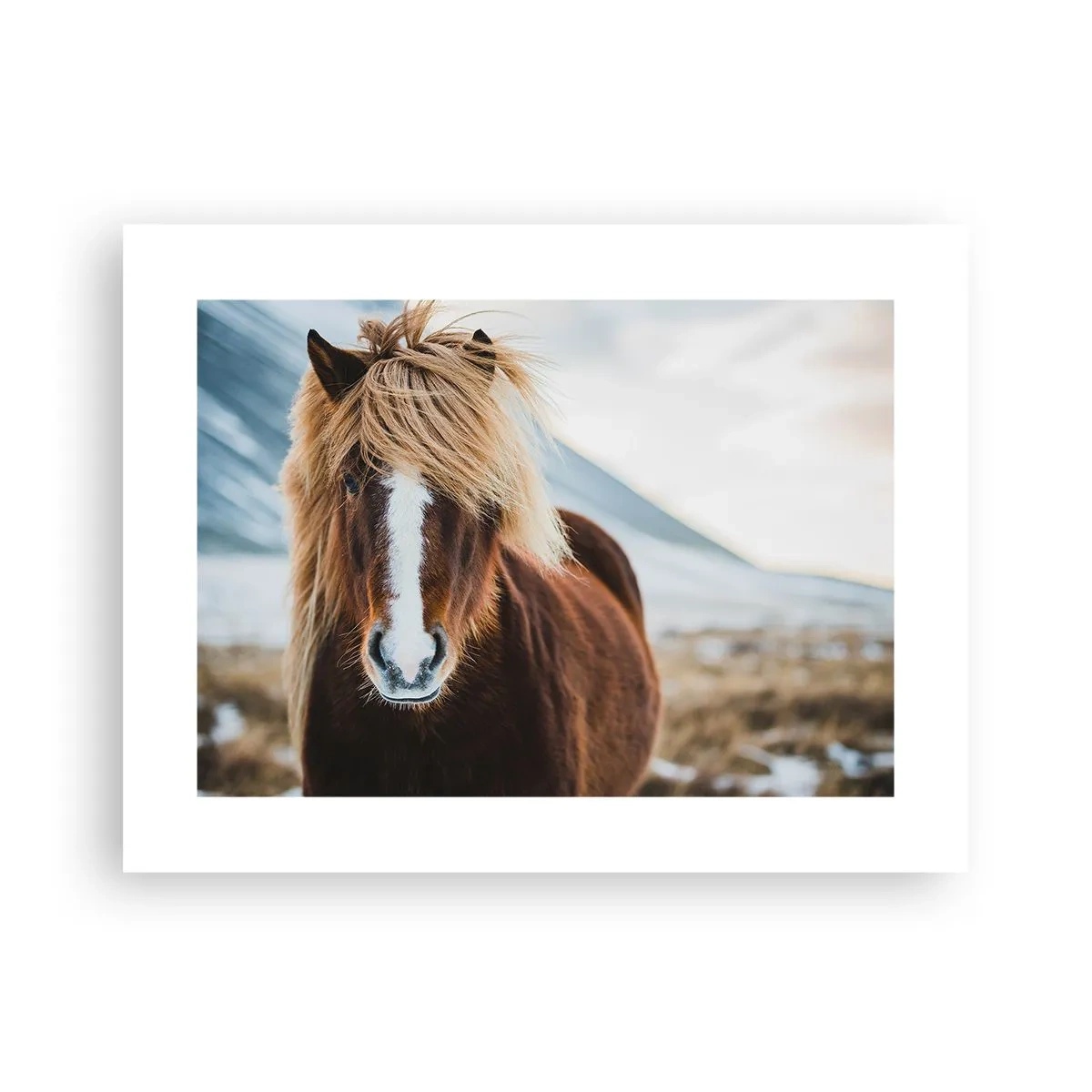 Affisch - Känner du friheten? - 40x30 cm