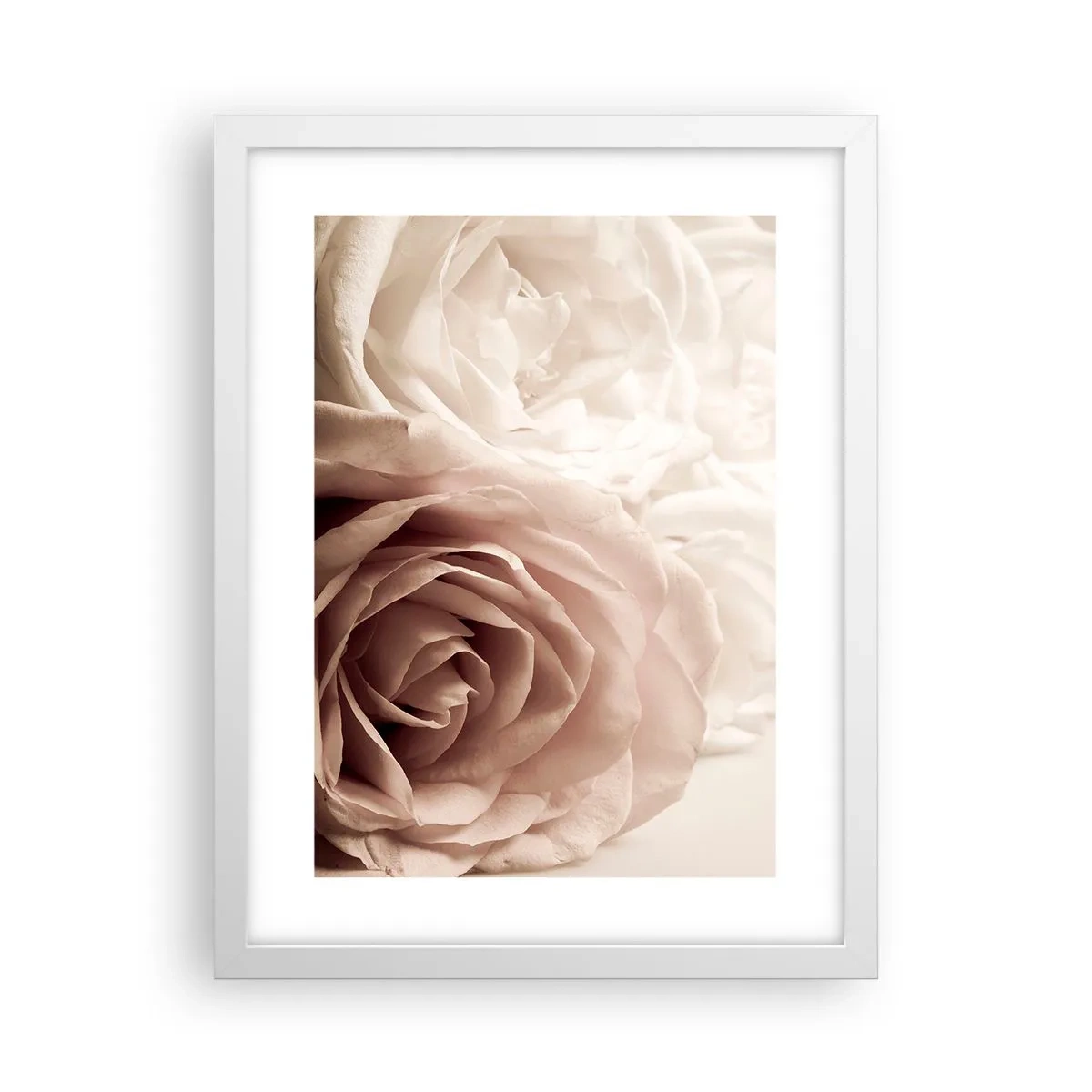 Affisch i vit ram - I hjärtat av en ros - 30x40 cm