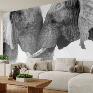 Fototapet på mått Premium Canvas - Hjärtlig bekännelse - Elefant, Djur, Afrika