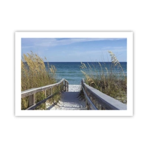 Affisch - I solen, i vinden - 70x50 cm