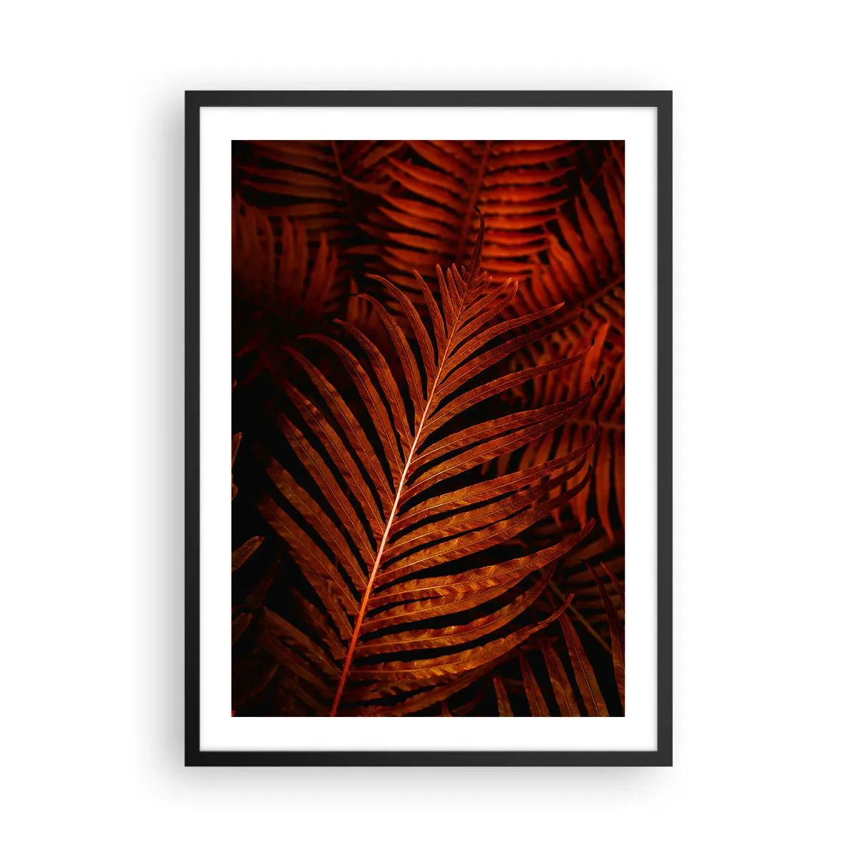 Affisch i svart ram - Röda palmblad i konstnärlig belysning - 50x70cm - Livets glöd - Modern väggdekoration för vardagsrum och sovrum ARTTOR