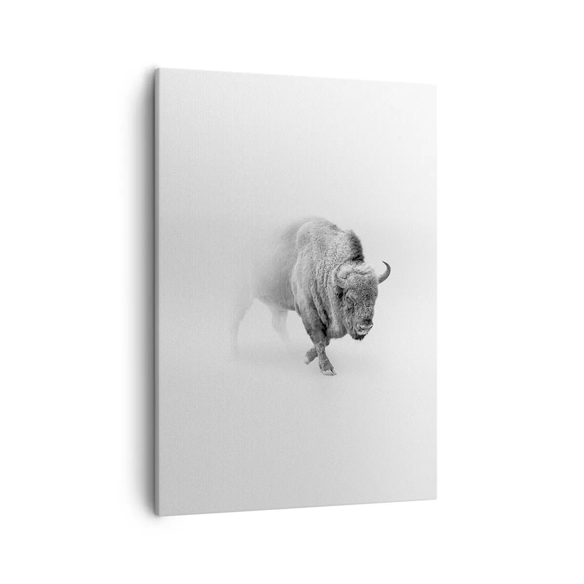 Canvastavla - Bild på duk - Präriens kung - 50x70 cm