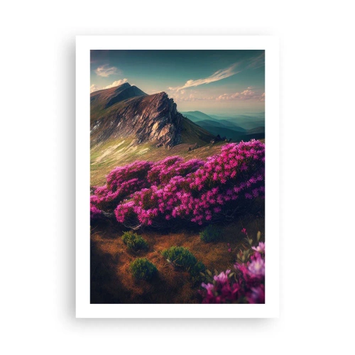 Affisch - Sommar i fjällen - 50x70 cm