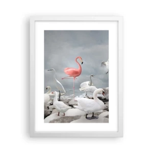 Affisch i vit ram - Hur har jag hamnat här? - 30x40 cm