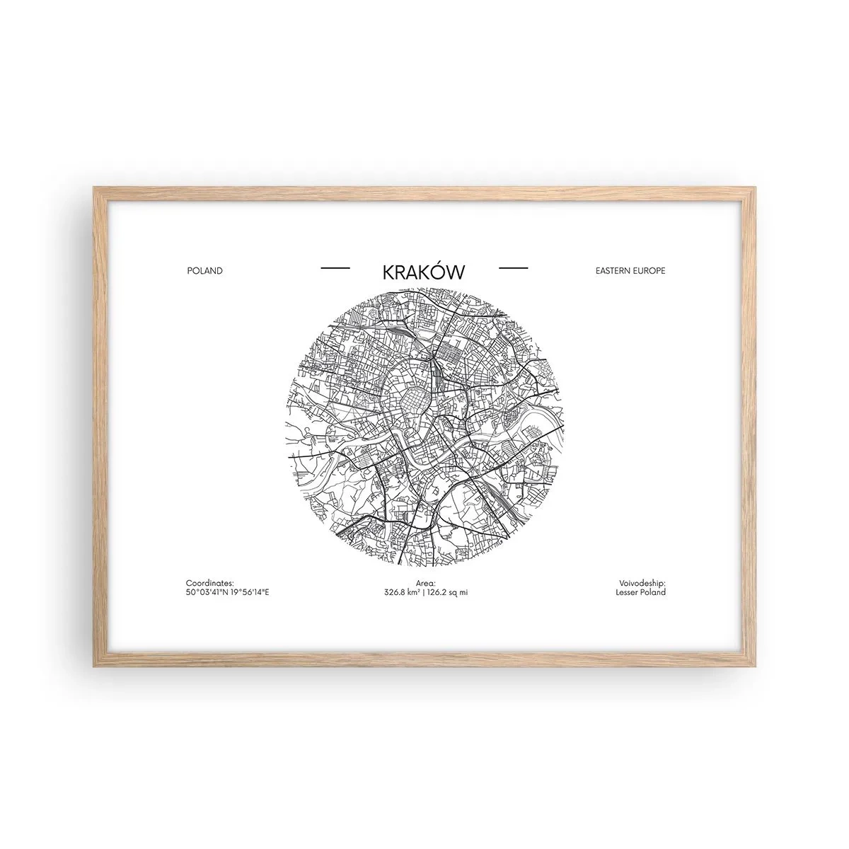 Affisch i ram av ljusek - Krakóws anatomi - 70x50 cm
