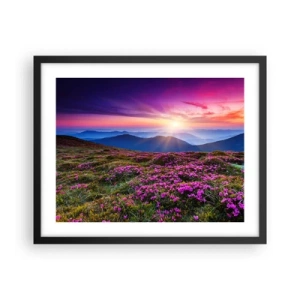 Affisch i svart ram - Doftande örter - 50x40 cm