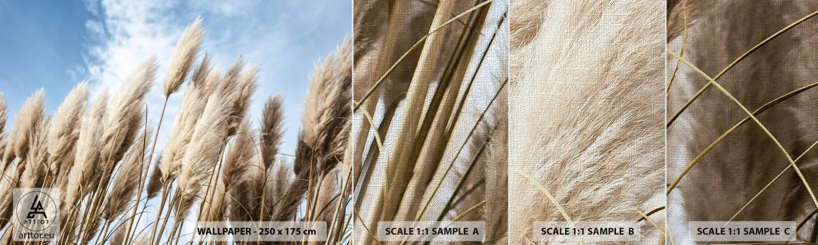 Provbit av fototapet Premium Canvas - Solig och blåsig smekning - Pampas gräs, Natur, Boho - 100x30 cm