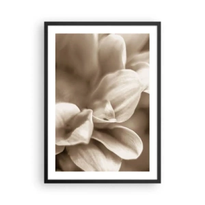 Affisch i svart ram - En närbild av fina sepia-tonade blomblad - 50x70cm - Milda som ett leende - Modern väggdekoration för vardagsrum och sovrum ARTTOR