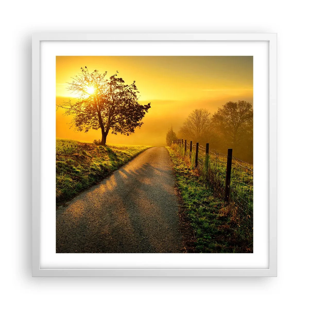 Affisch i vit ram - Honungfärgad eftermiddag - 50x50 cm