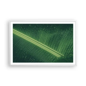 Affisch i vit ram - Grönskans struktur - 91x61 cm